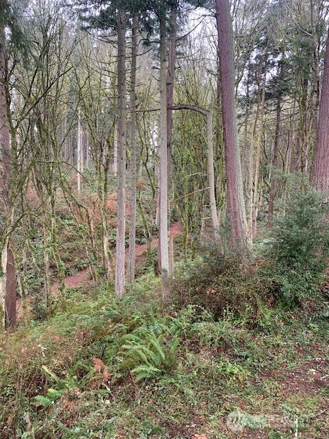 0 XXX Hellman Road, Clinton, WA 98236, photo 2 of 2