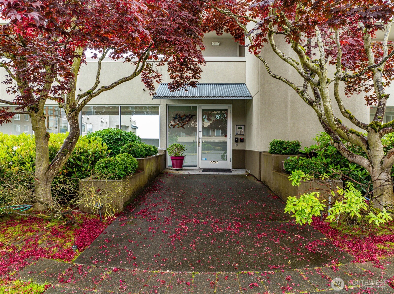4457 44th Avenue SW #101, Seattle, WA 98116, photo 3 of 35