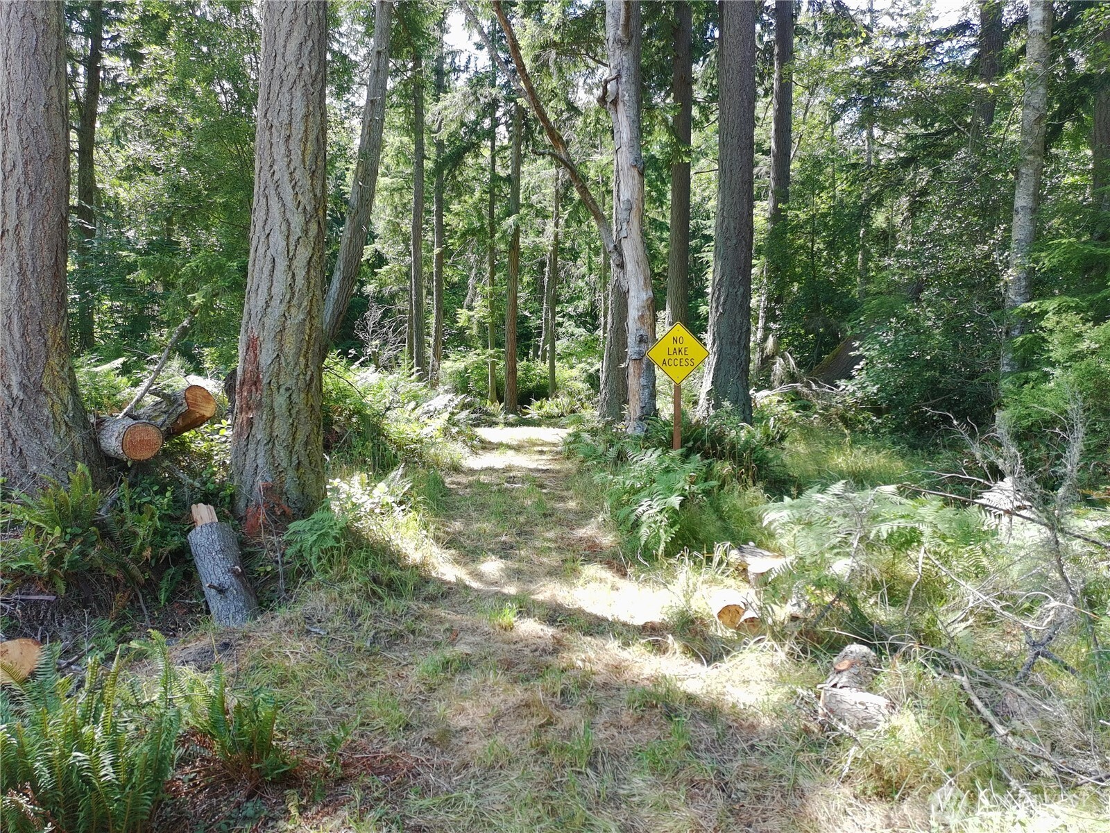 737 Twin View Drive, Greenbank, WA 98253, photo 2 of 2