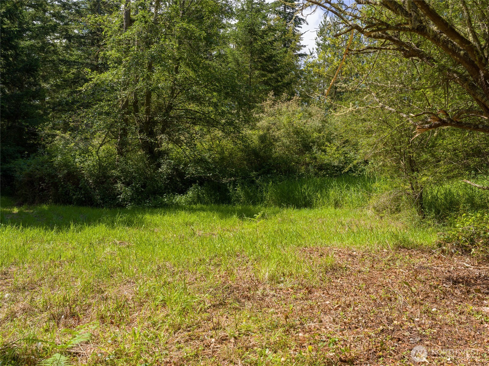 1486 Center Road