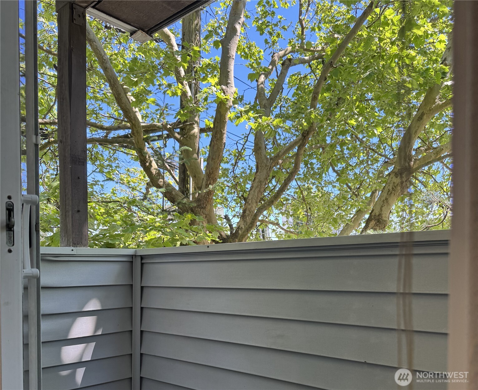 555 N 105th Street #202, Seattle, WA 98133, photo 5 of 23