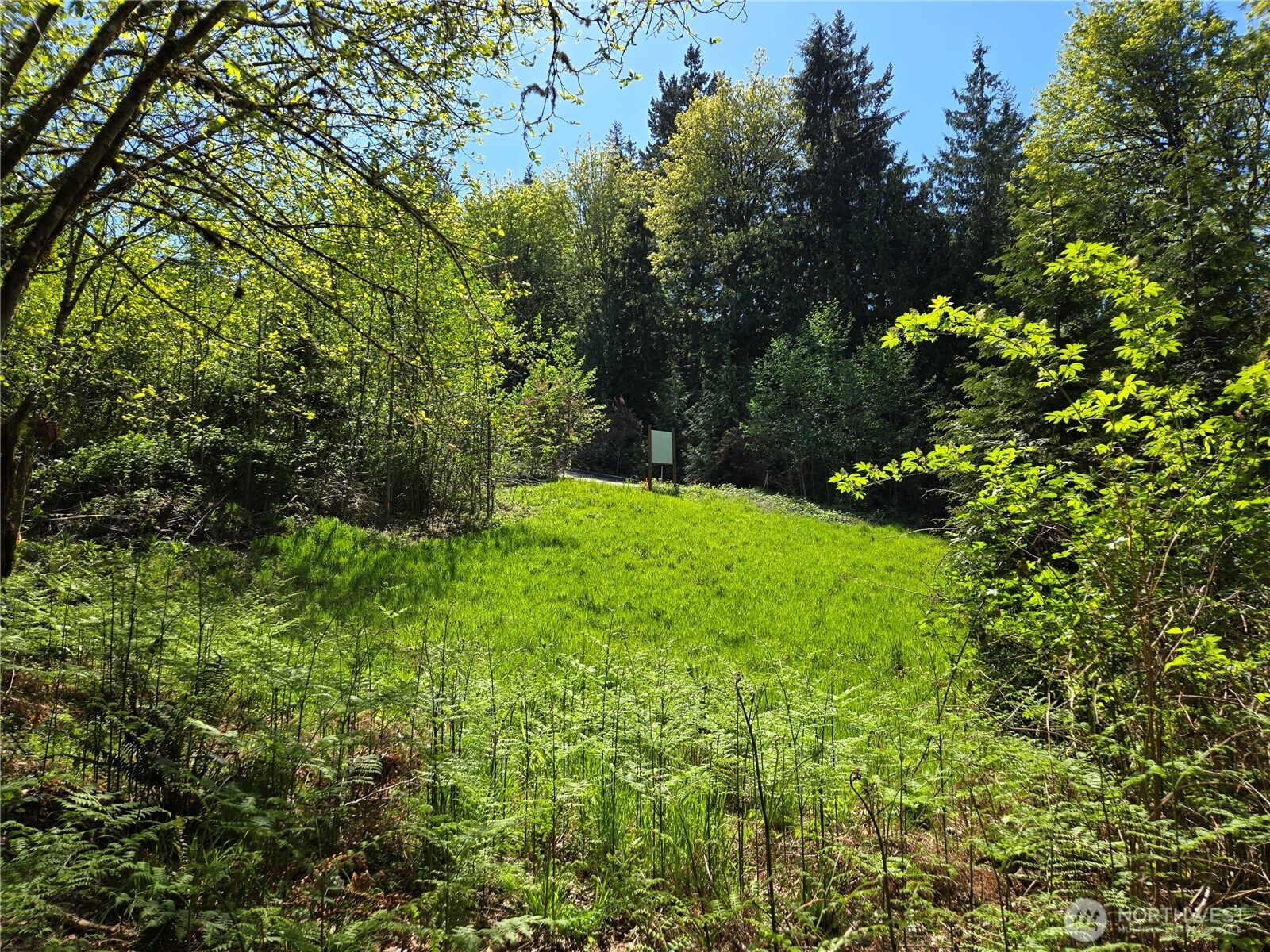 286 XX NE 156th Street