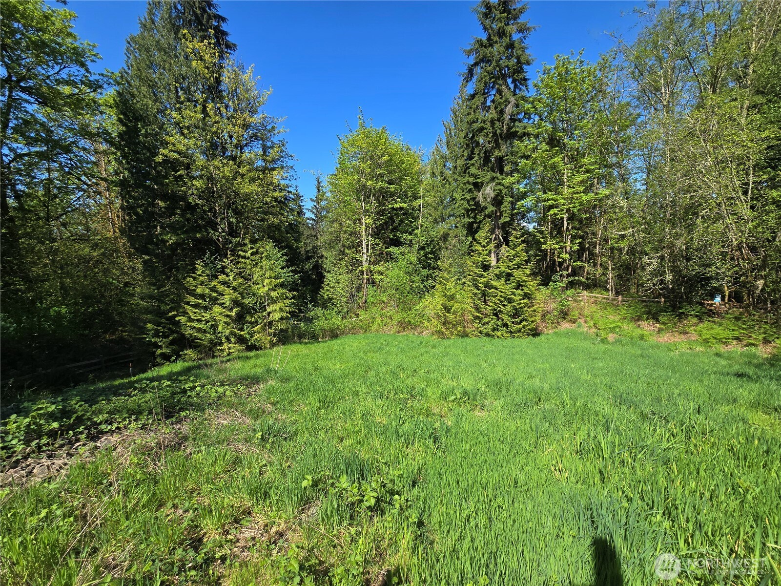 286 XX NE 156th Street