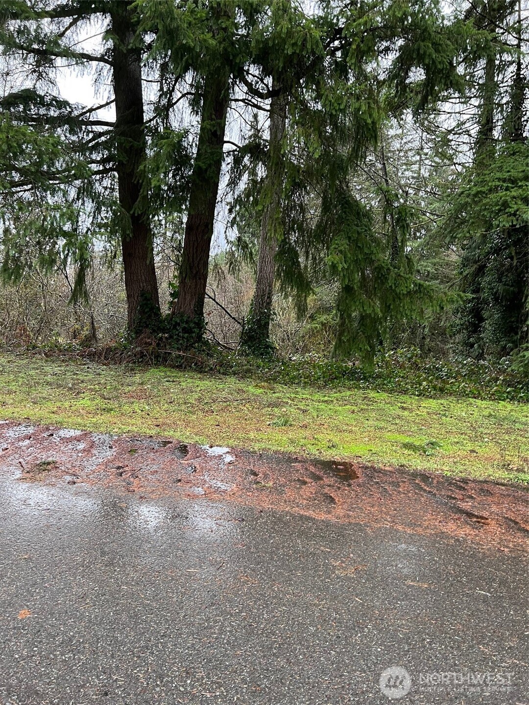 186 xx NE 161st Place, Woodinville, WA 98072, photo 2 of 2