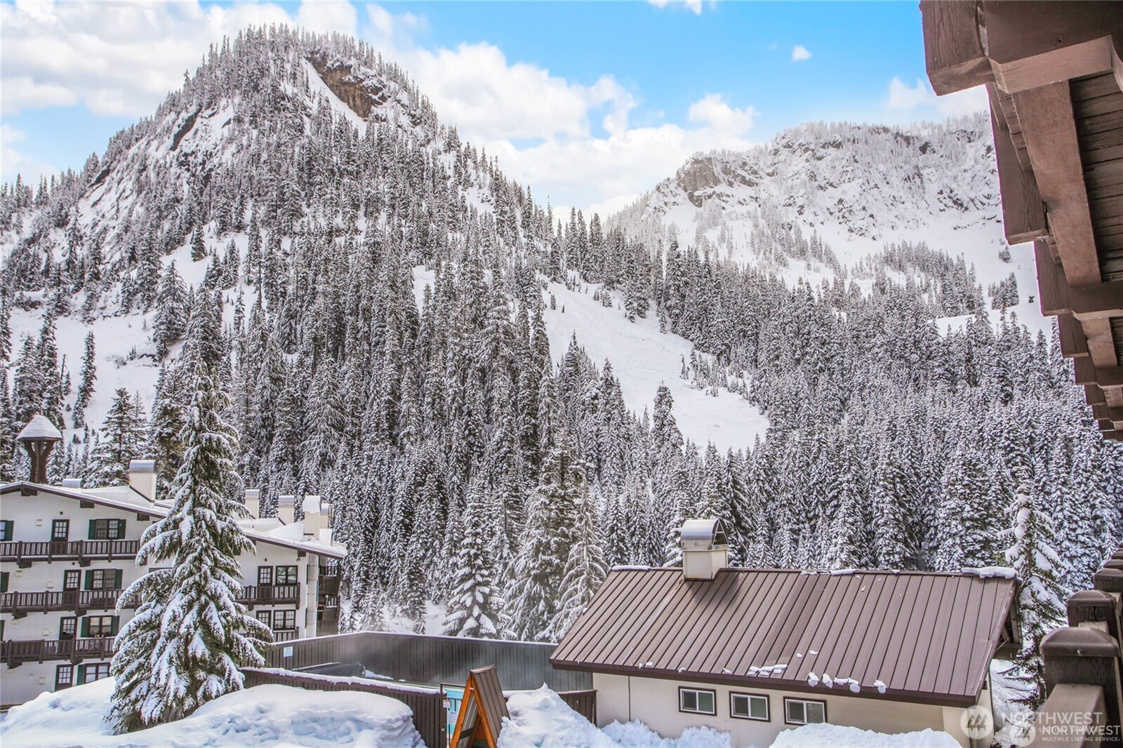 17800 Alpental Access Road SE #3102