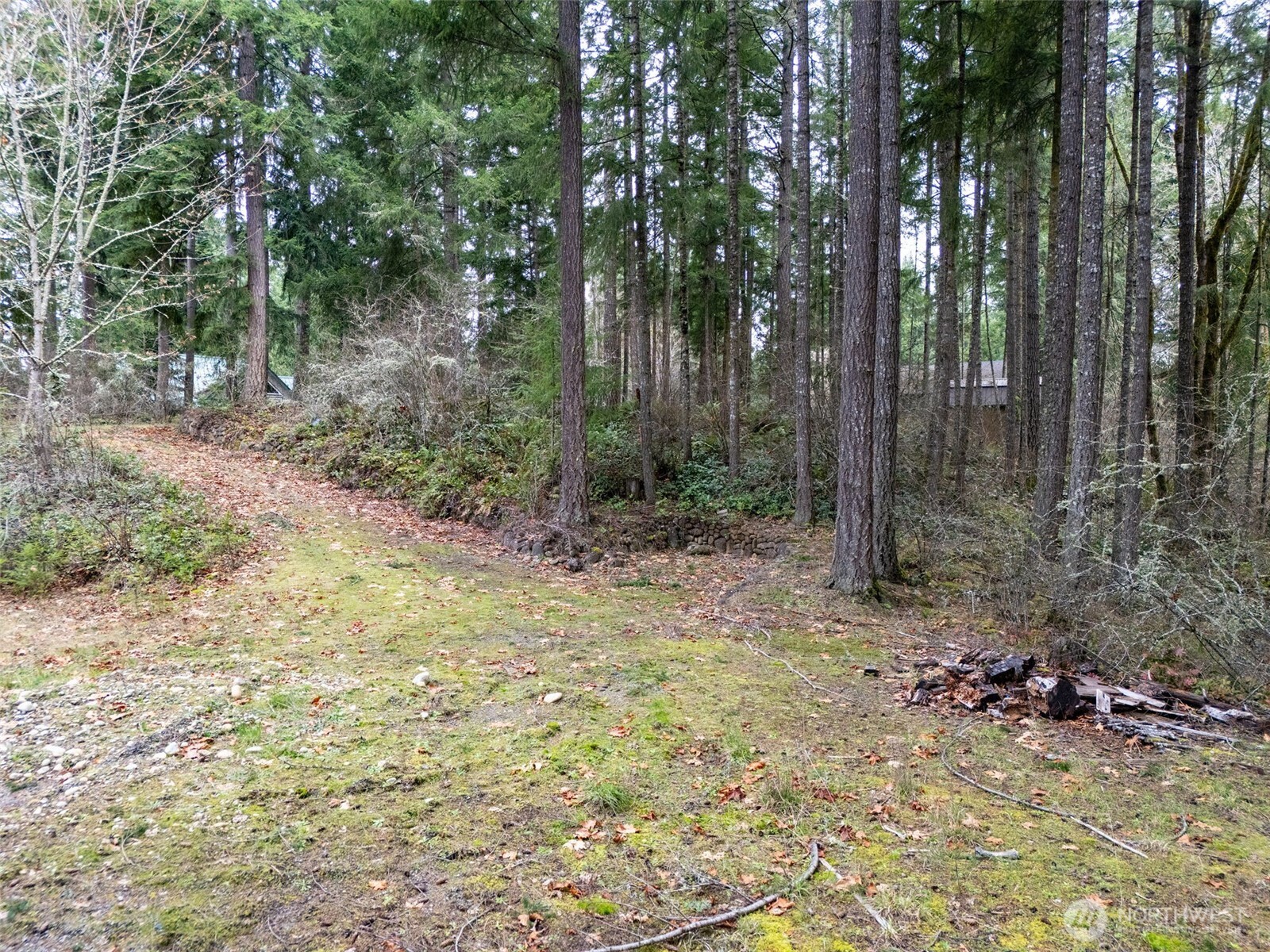 18214 Big Fir Court SE, Yelm, WA 98597, photo 2 of 2