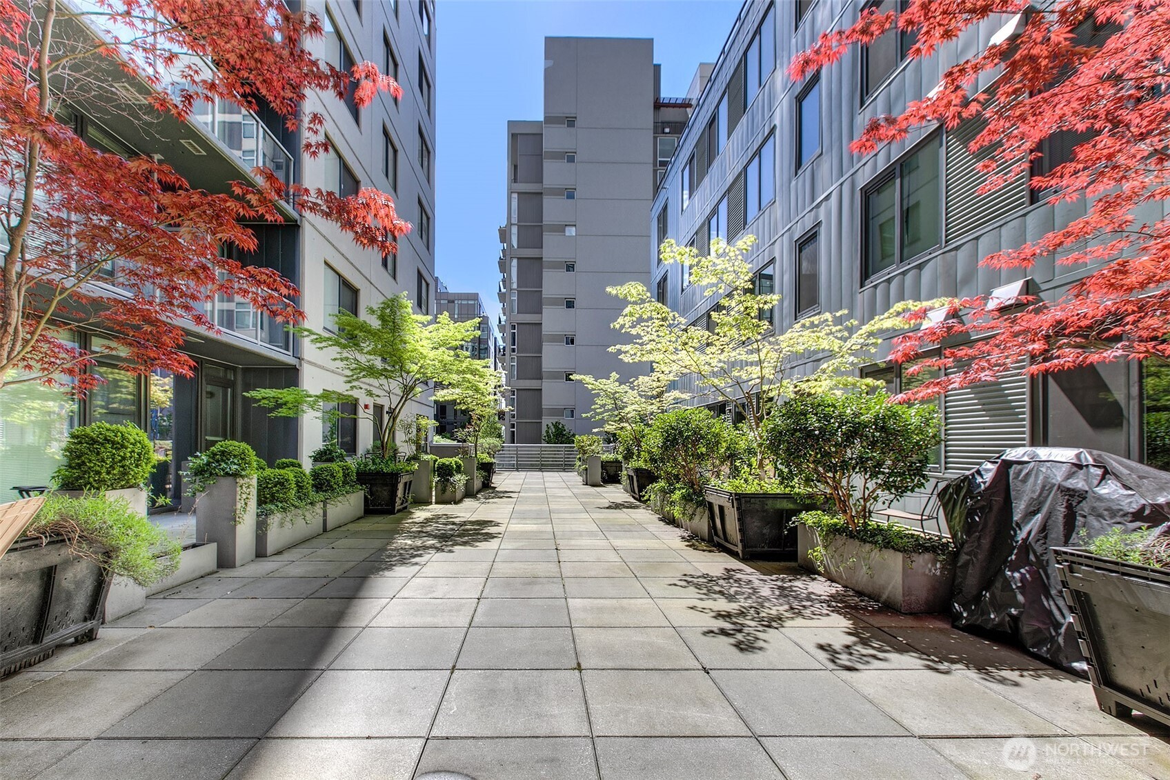 76 Cedar Street #603, Seattle, WA 98121-4106, photo 2 of 26