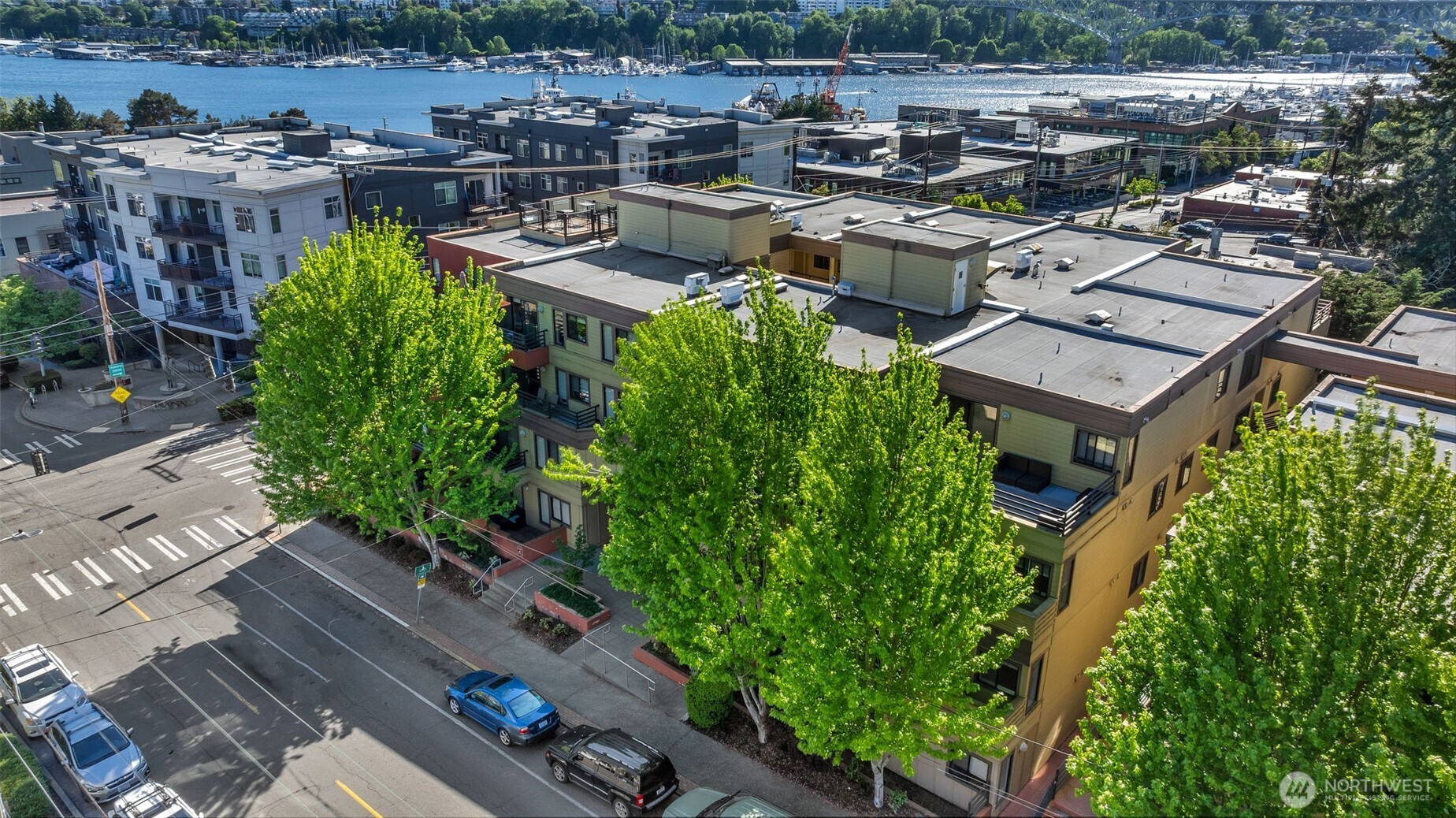 3401 Wallingford Avenue N #210, Seattle, WA 98103-9068, photo 3 of 39