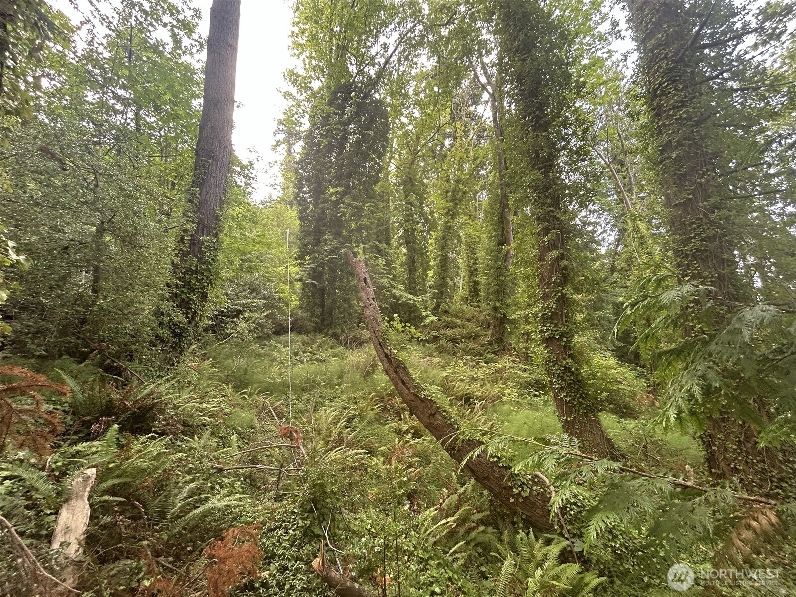 1 SE Goat Trail Rd