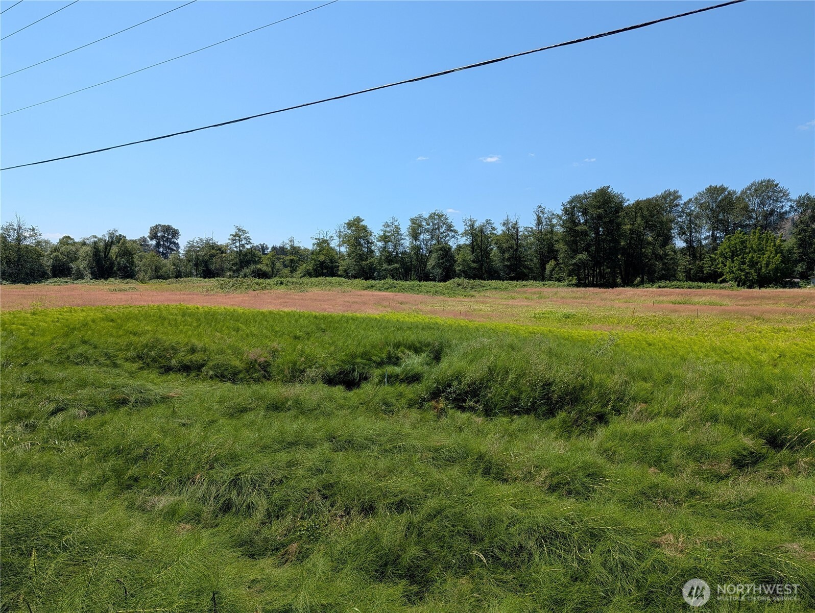 15271 State Route 530