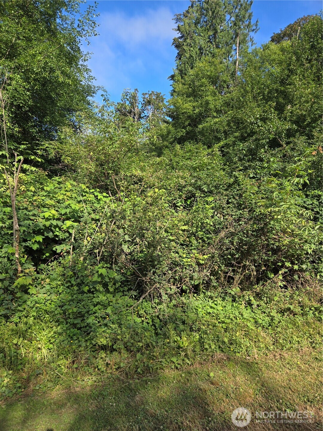 101 A Port Susan Drive