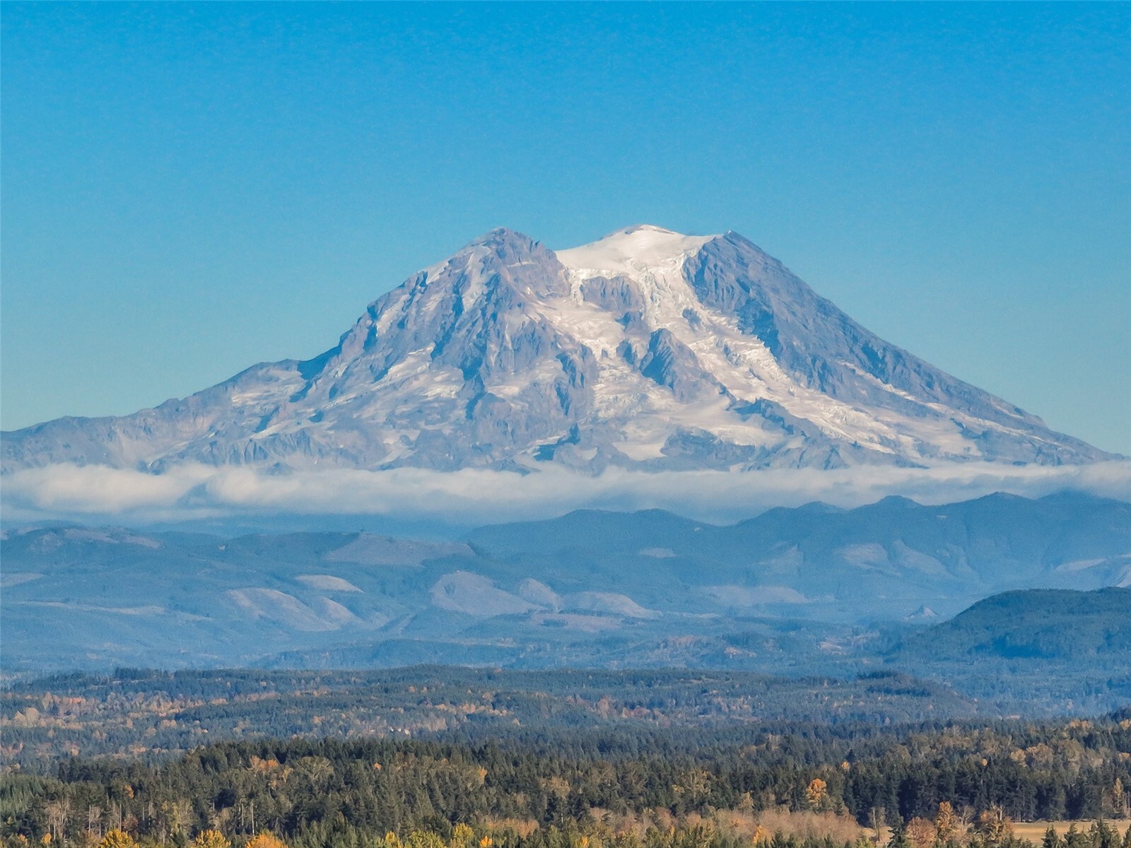 17142 Lakepoint Drive SE, Yelm, WA 98597, photo 4 of 39
