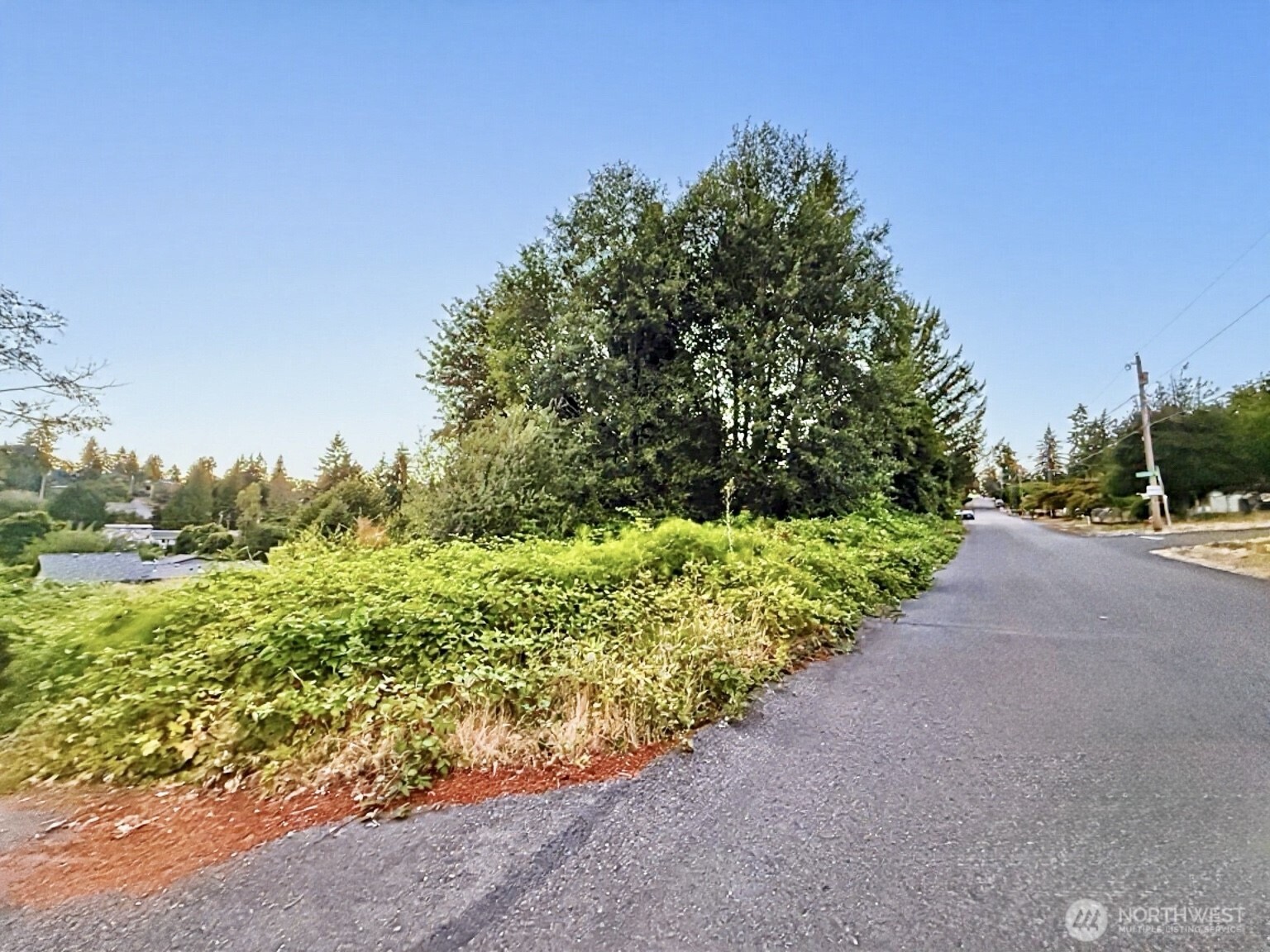 206 XX 13th Avenue S