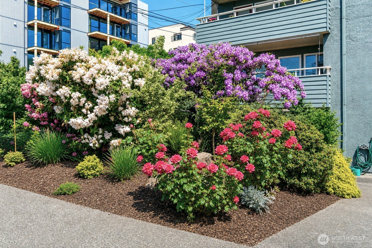 75 E Lynn Street #B, Seattle, WA 98102, photo 4 of 32
