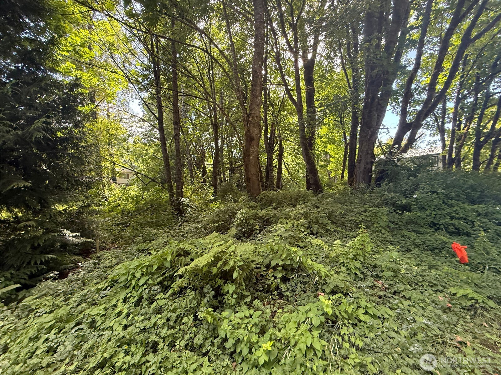 0 Cape Horn Drive