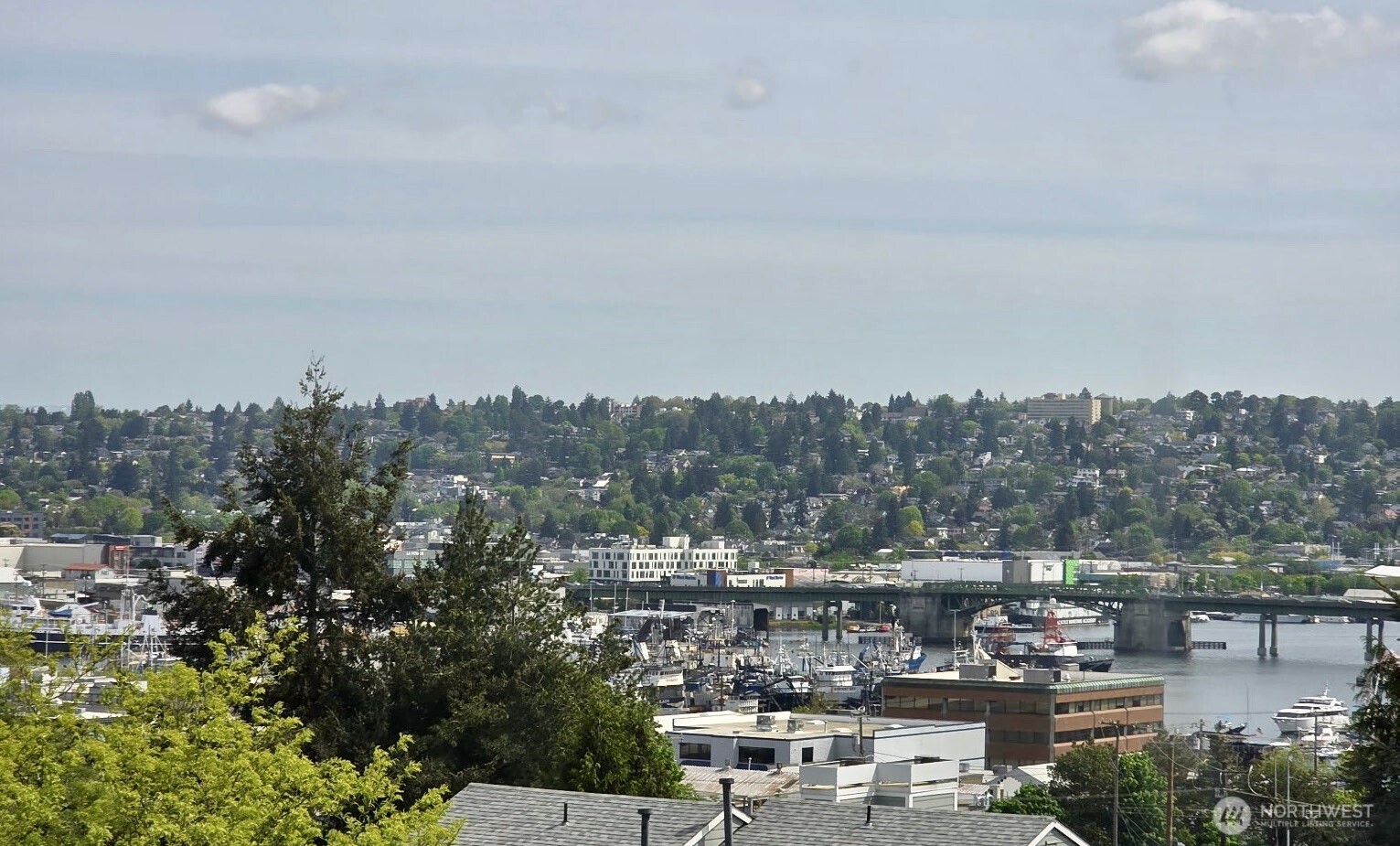 3835 25th Avenue W, Seattle, WA 98199, photo 2 of 25
