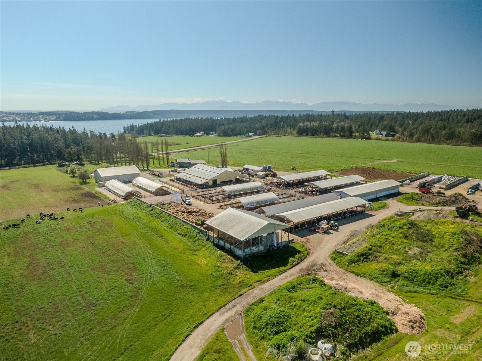 1240 Arnold Road