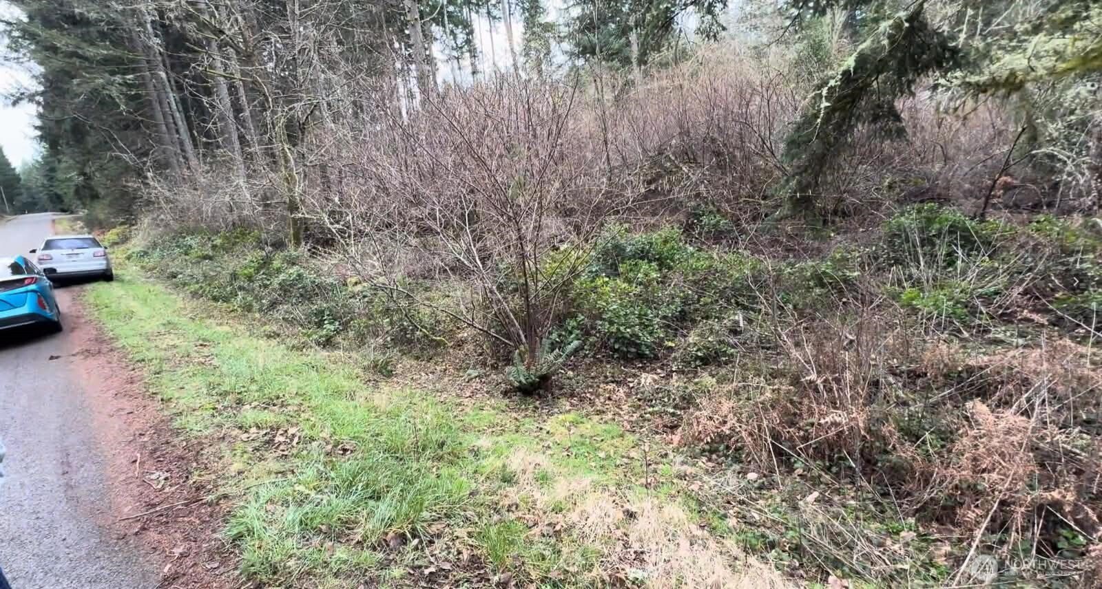 10618 Tahoma Drive, Anderson Island, WA 98303, photo 2 of 2