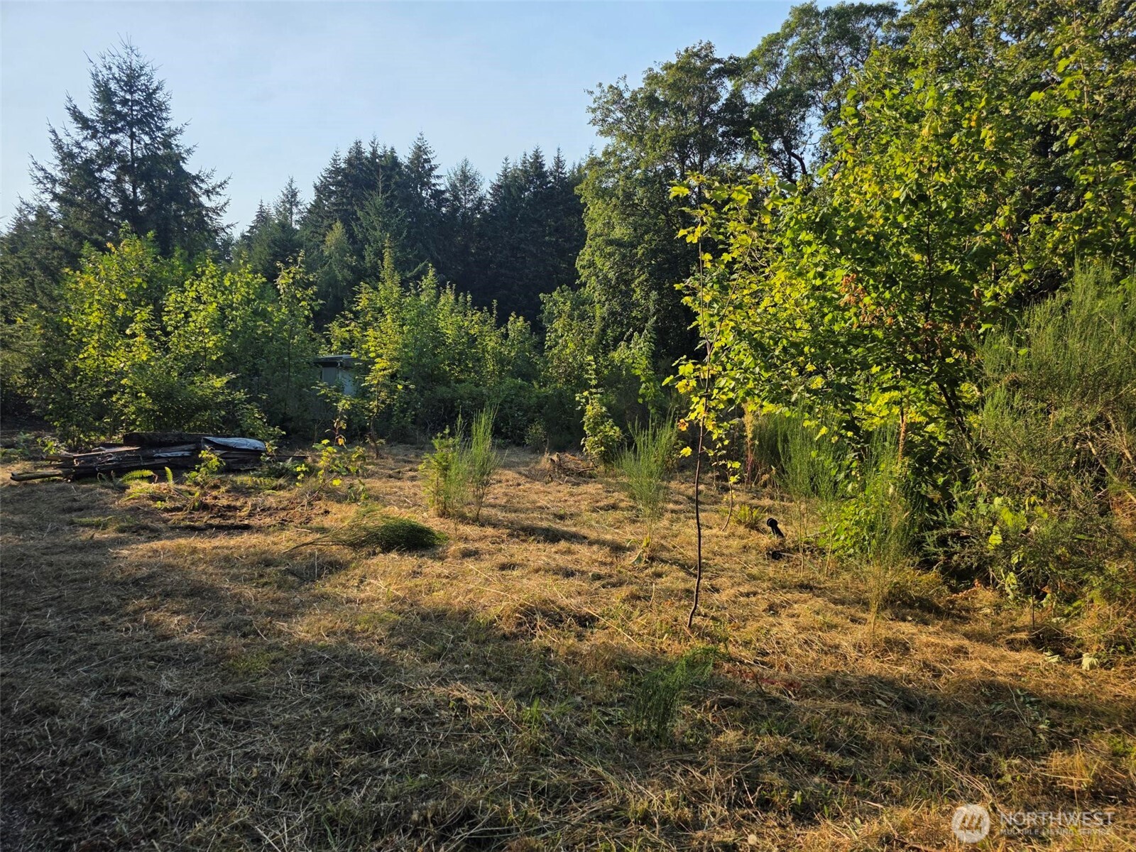 27313 Vashon Highway SW