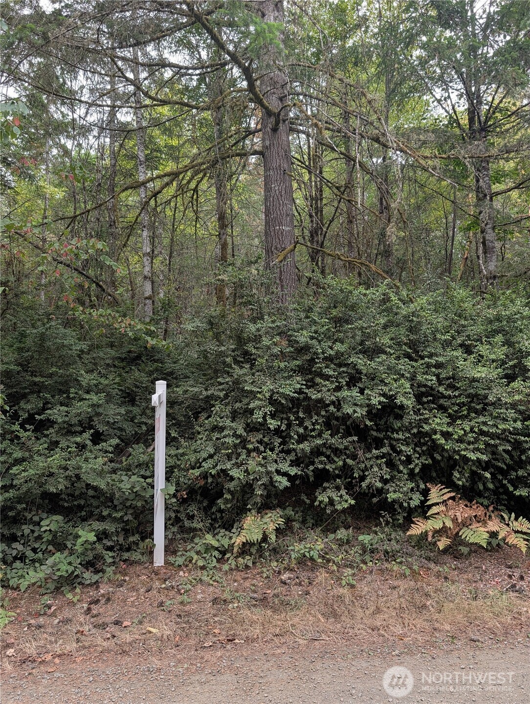 714 Webb Road SW