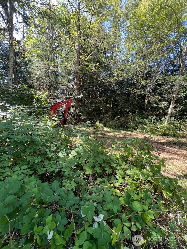 0 Mile Hill Drive SE