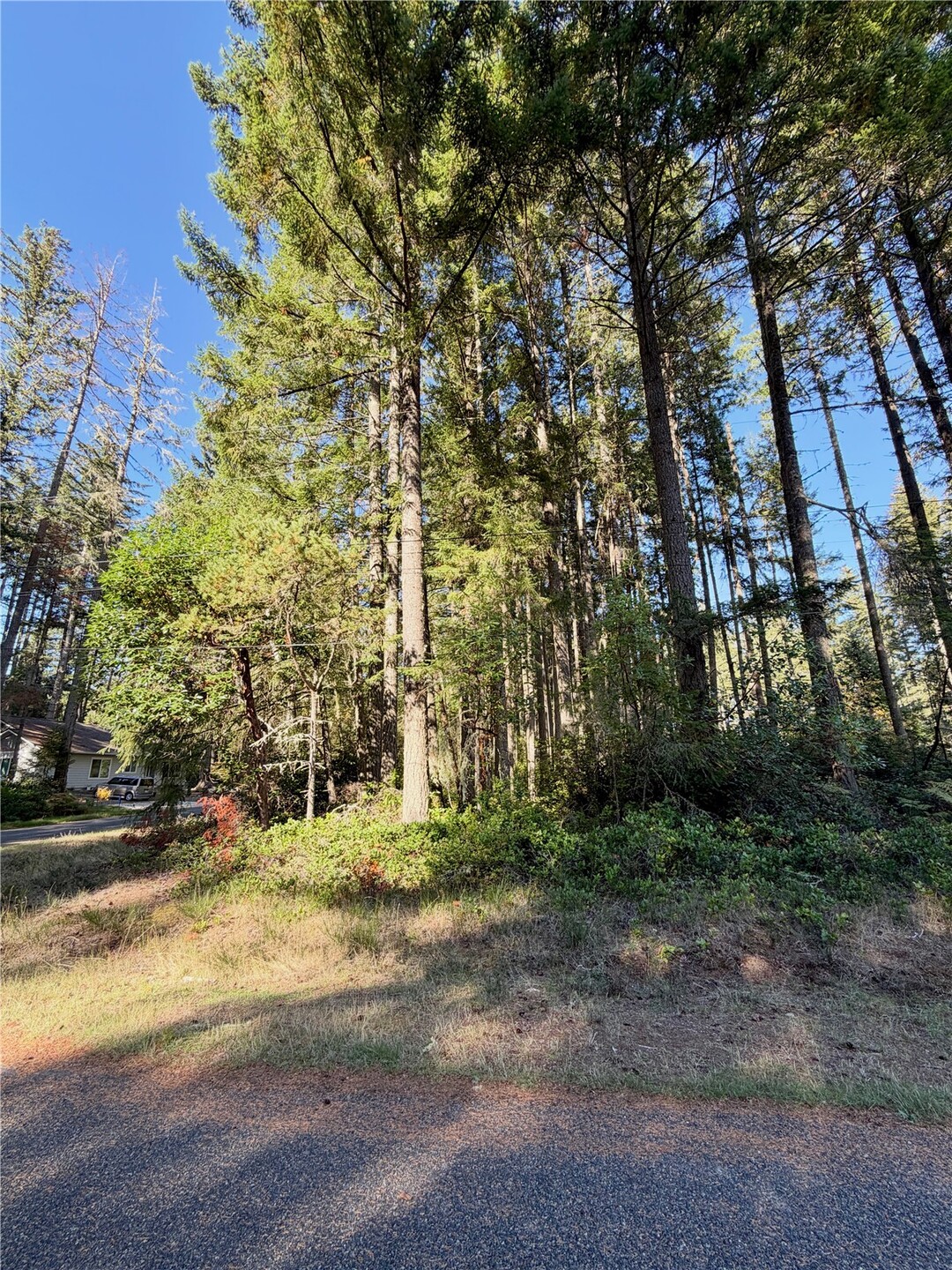 12123 Sunset Pl