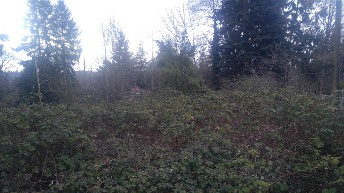12810 34th Avenue S, Tukwila, WA 98168, photo 2 of 6