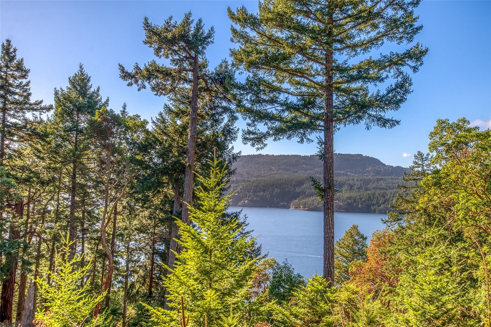 980 Palisades Drive, Orcas Island, WA 98245, photo 4 of 31