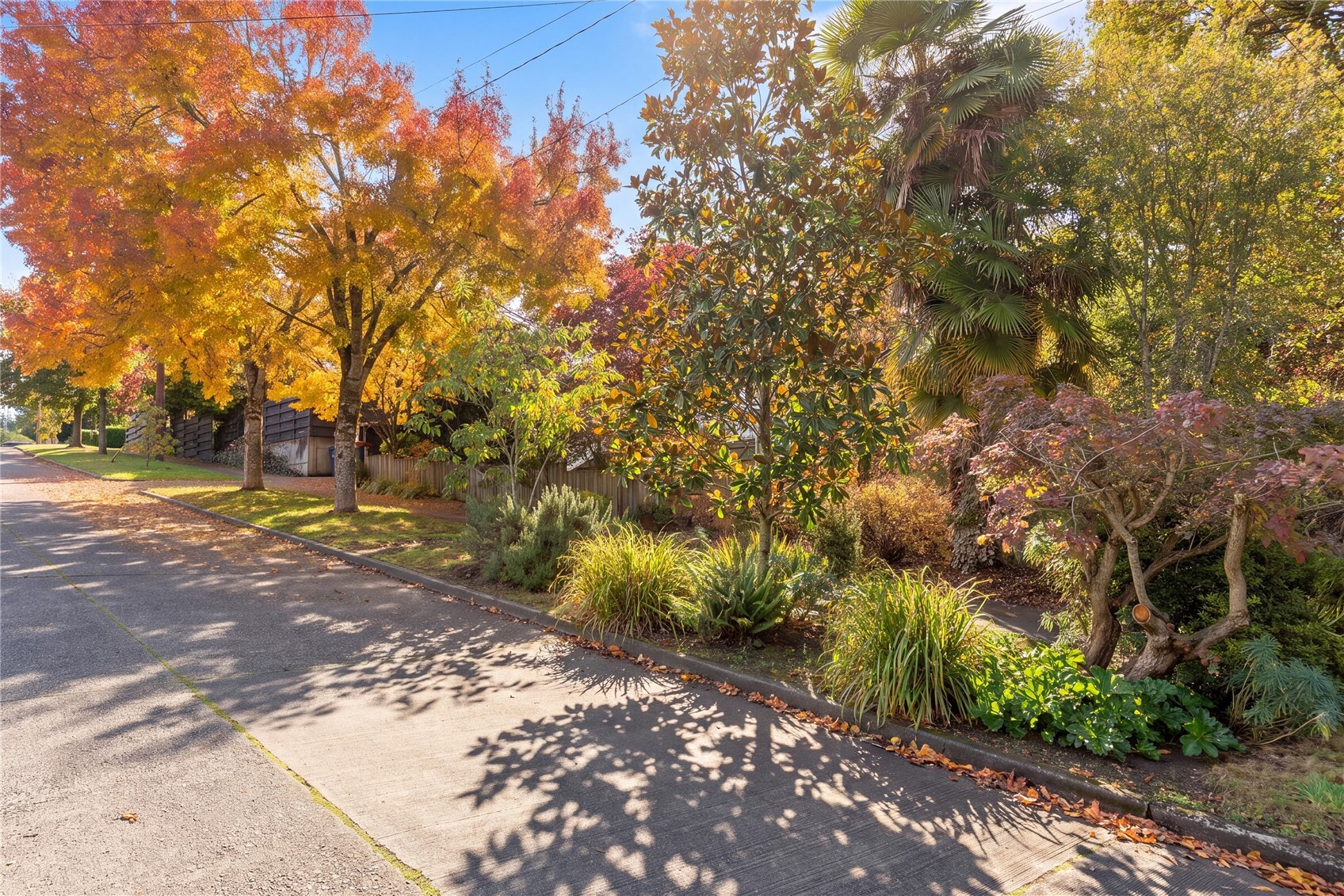 1717 29th Avenue, Seattle, WA 98122, photo 2 of 38