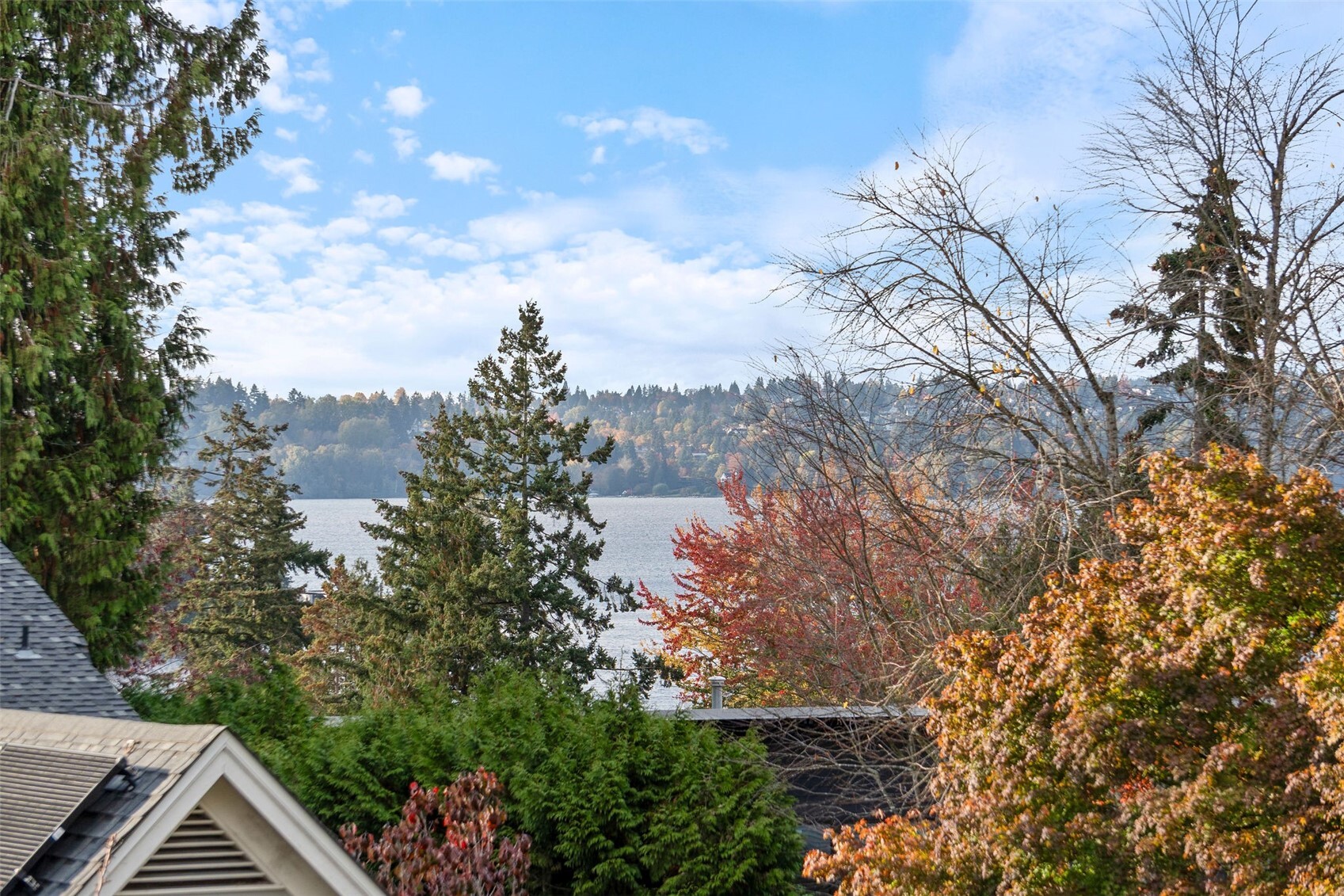 4205 94th Avenue NE, Yarrow Point, WA 98004, photo 3 of 30