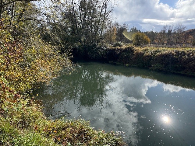 20032 Bucoda Highway SE, Centralia, WA 98531, photo 5 of 11
