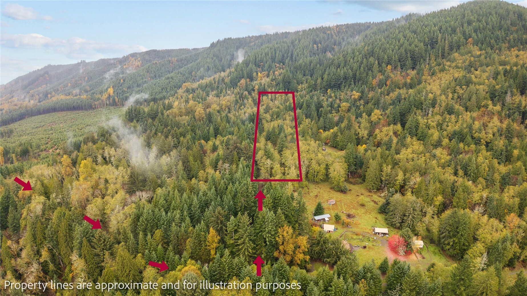 32913 Kolisch Road E, Carbonado, WA 98323, photo 3 of 18