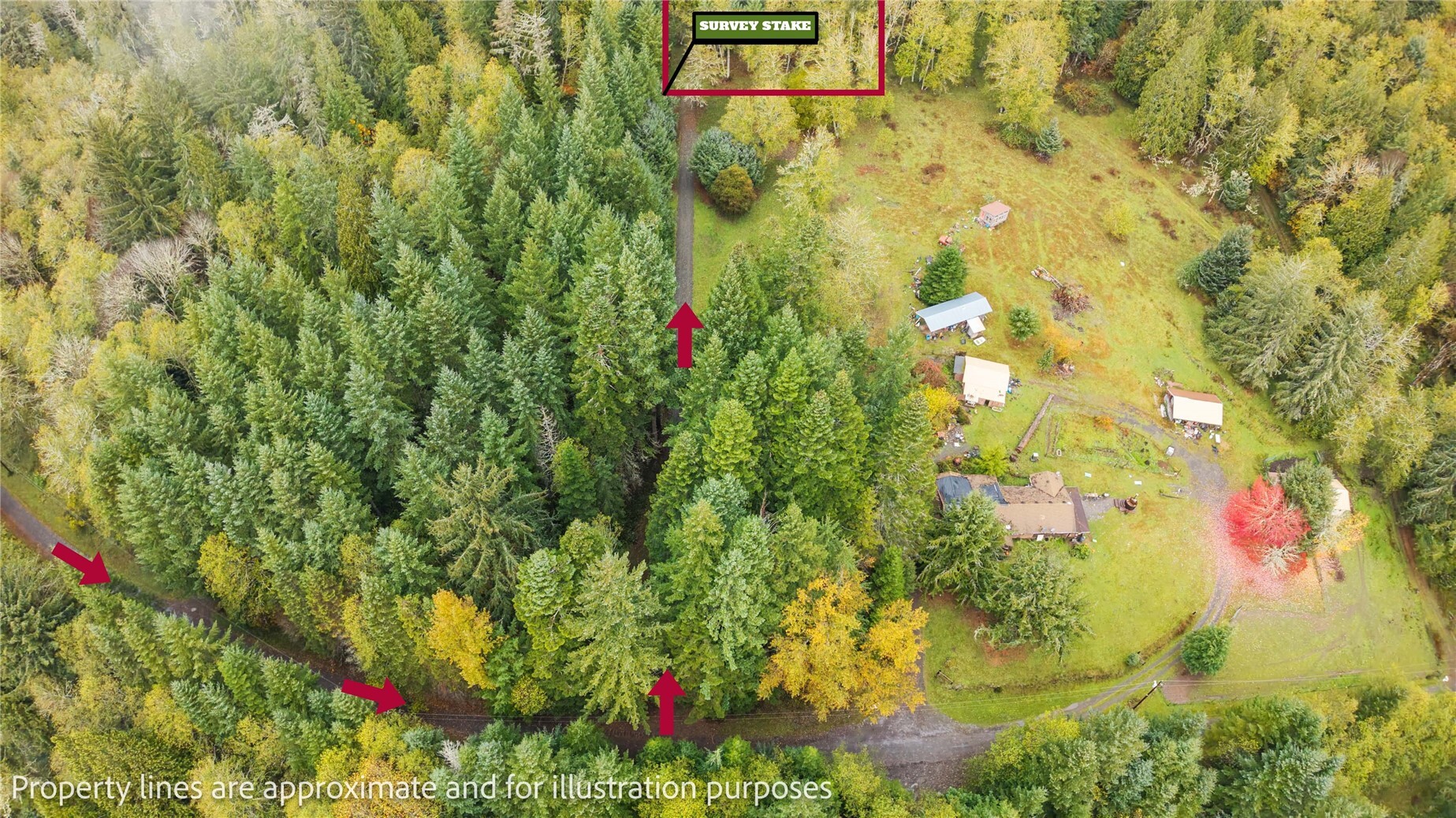 32913 Kolisch Road E, Carbonado, WA 98323, photo 4 of 18
